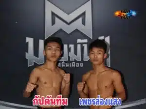 กัปตันทีม