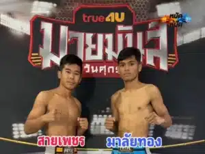 ไฮไลท์มวย